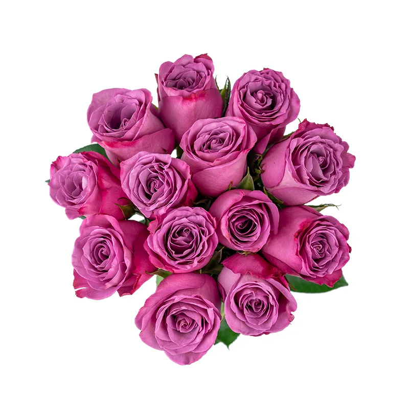 Букет из 13 фиолетовых роз Муди Блюз (01213)