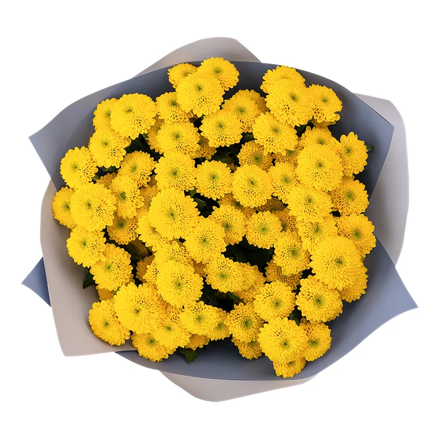 Букет из 11 желтых кустовых хризантем Сантини Ауринко (02676)