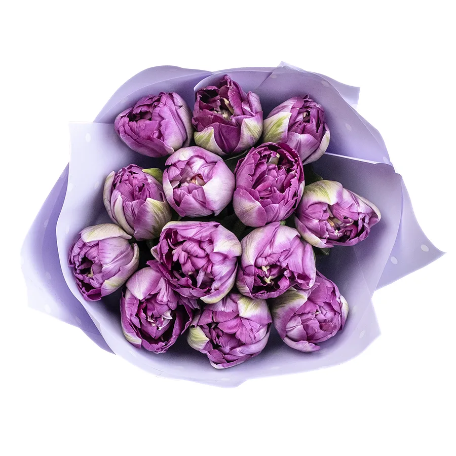 Букет из 13 фиолетовых махровых тюльпанов Сайгон (02396)
