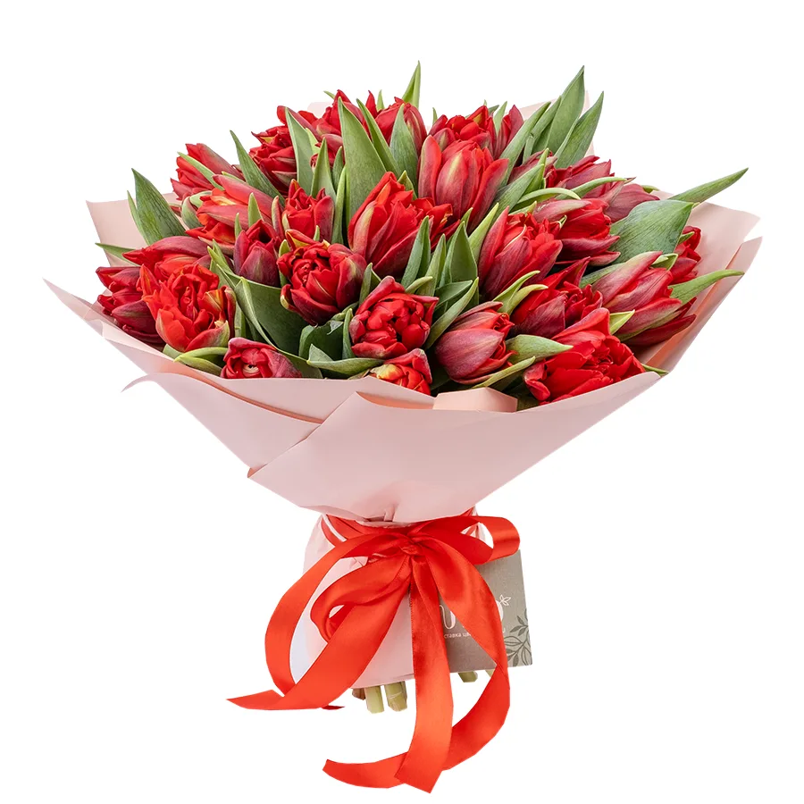 Букет из 35 красных махровых тюльпанов Ред Принцесс (02258)