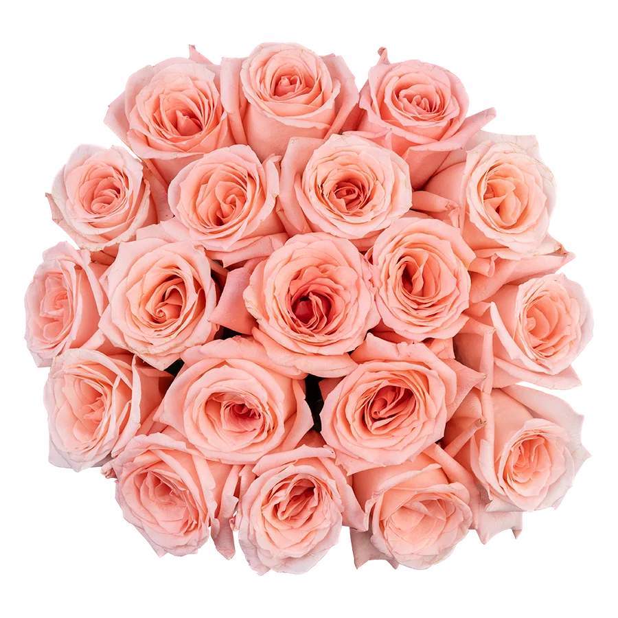 Букет из 19 светло-розовых роз Энгейджмент (03849)