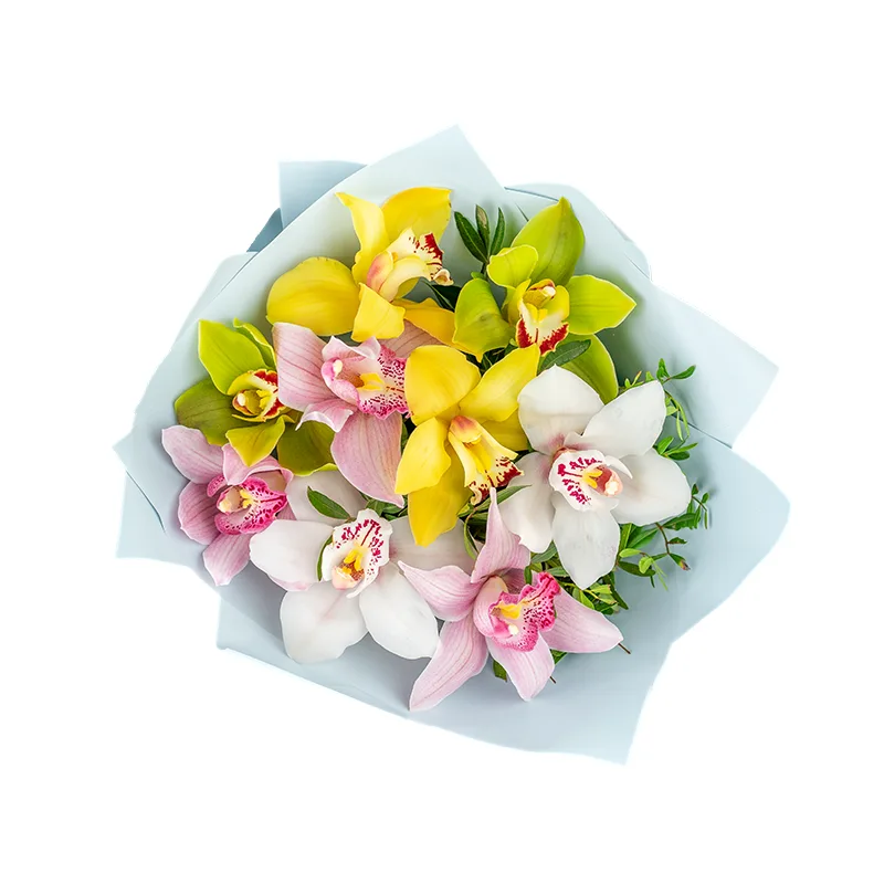 Букет из 9 разноцветных орхидей Цимбидиум (01206)