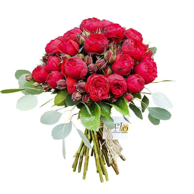Букет из 23 красных кустовых пионовидных роз Пиано (00478)