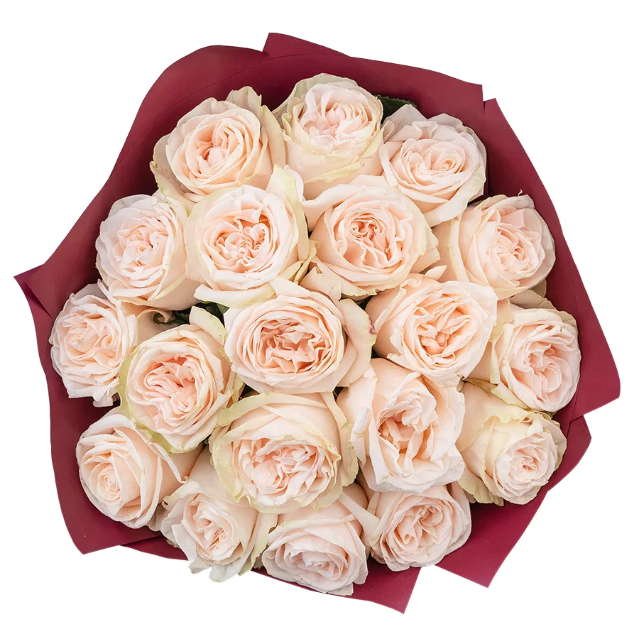 Букет из 19 кремово-розовых пионовидных роз Гарден Спирит (02918)