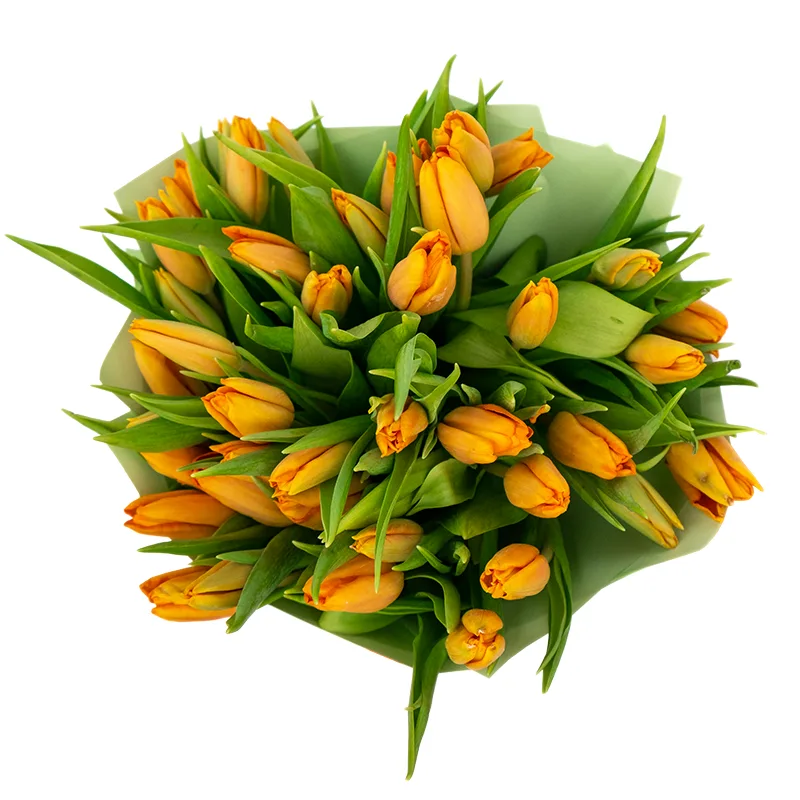 Букет из 41 оранжевого тюльпана (01964)