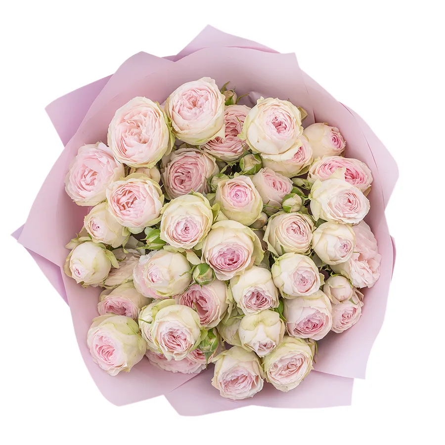 Букет из 9 нежно-розовых кустовых пионовидных роз Дедикейшн (02721)