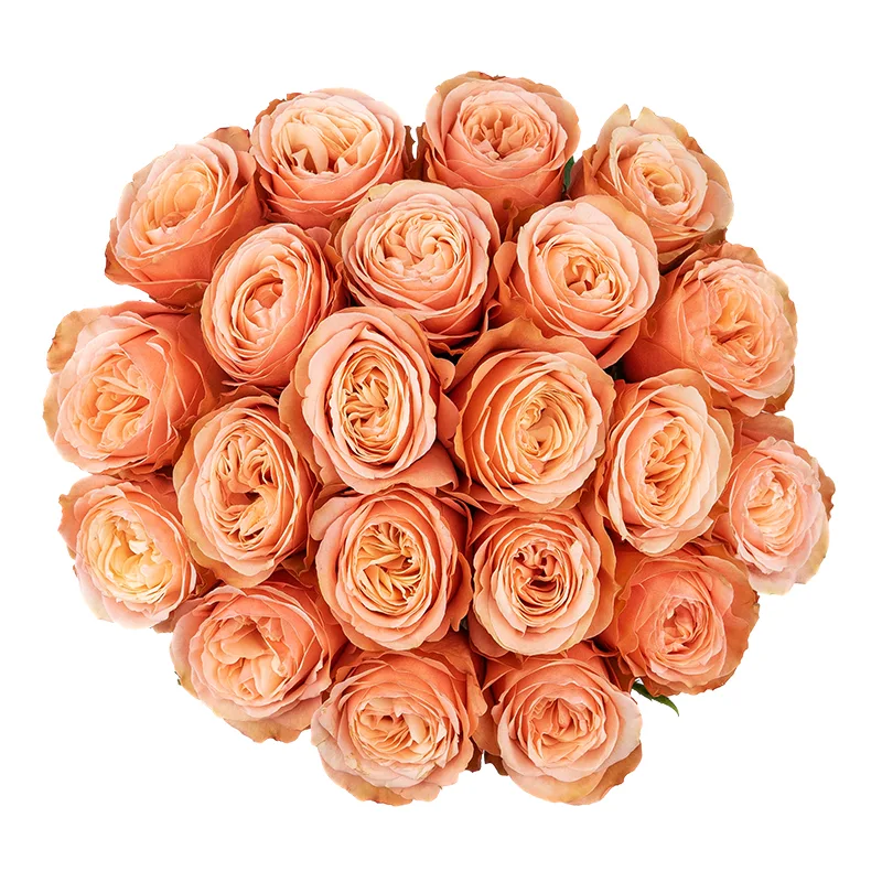 Букет из 21 персиковой пионовидной розы Кахала (01409)