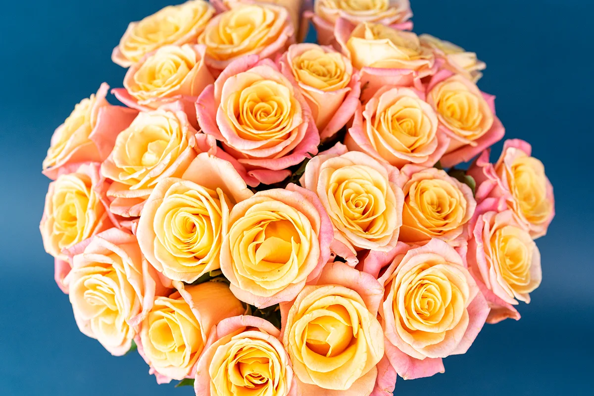 Букет из 25 нежных лососево-розовых роз Мисс Пигги (01131)