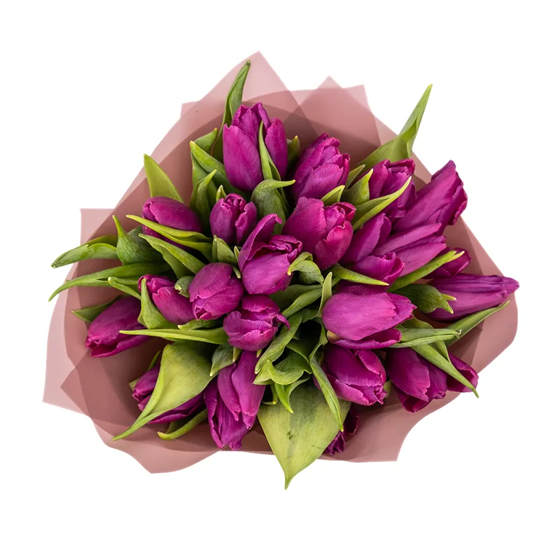 Букет из 21 фиолетового тюльпана (01926)