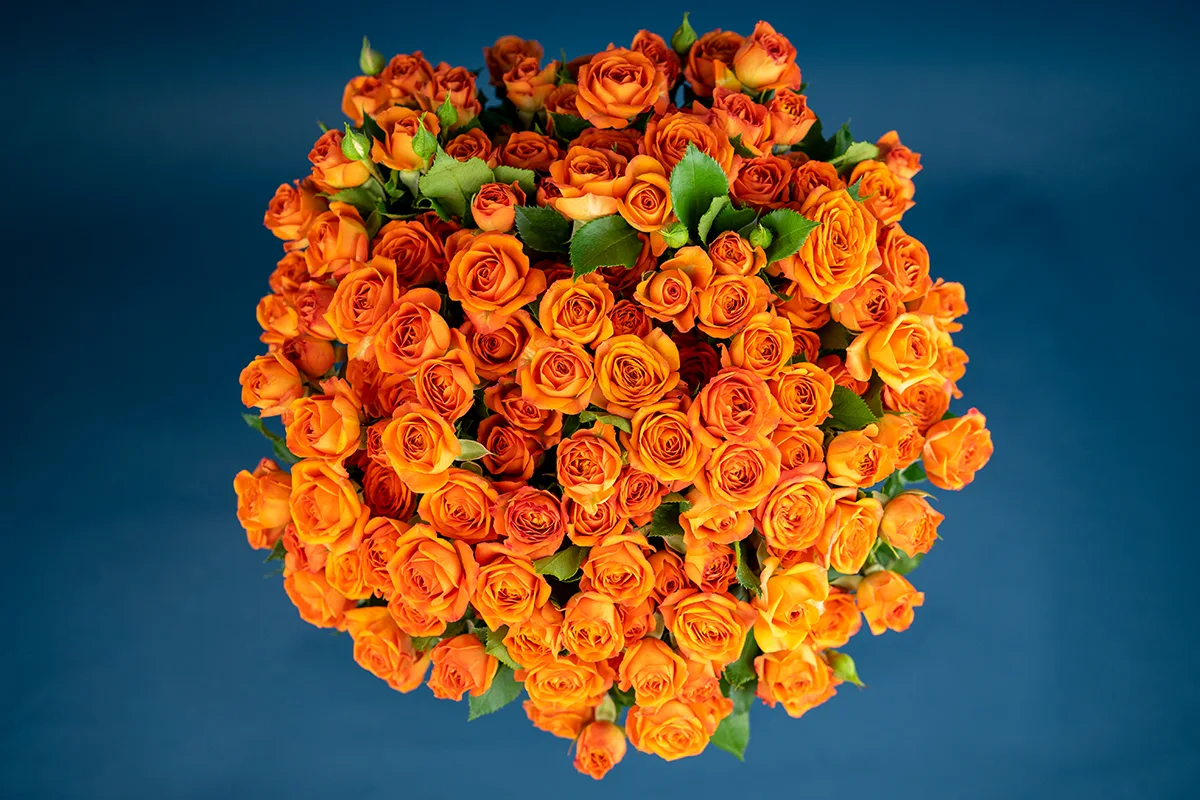 Букет из 21 оранжевой кустовой розы Бейб (01639)