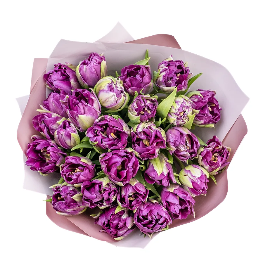 Букет из 27 фиолетовых пионовидных тюльпанов Пурпл Пеони (02321)