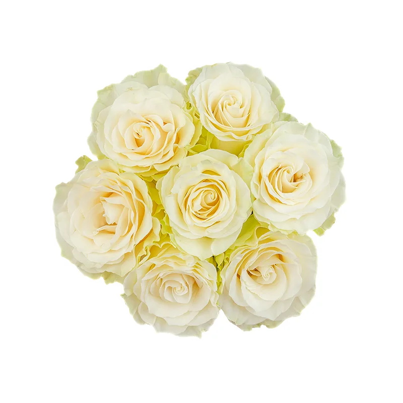 Букет из 7 белых роз Мондиаль (01606)