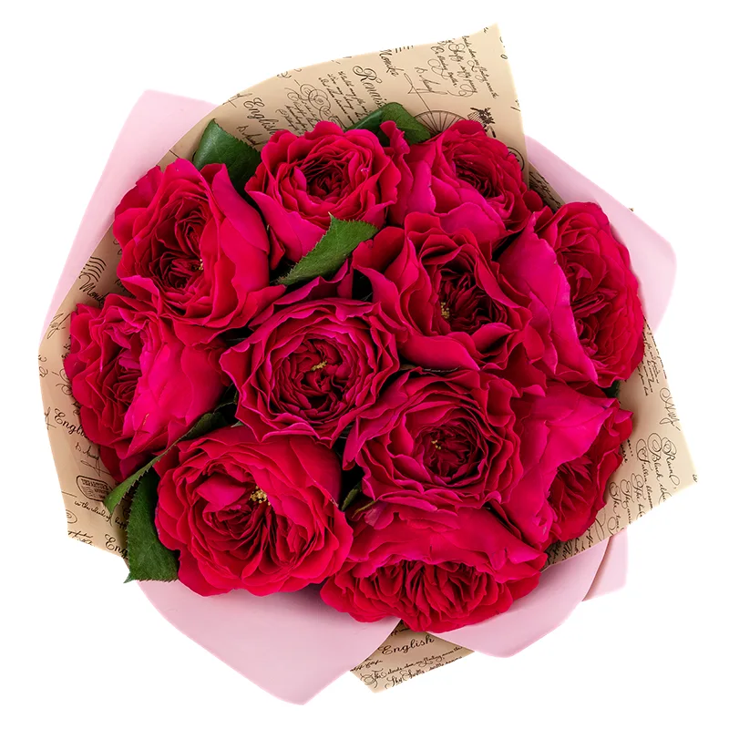 Букет из 11 красно-малиновых садовых роз Дэвида Остина Дарси (01391)