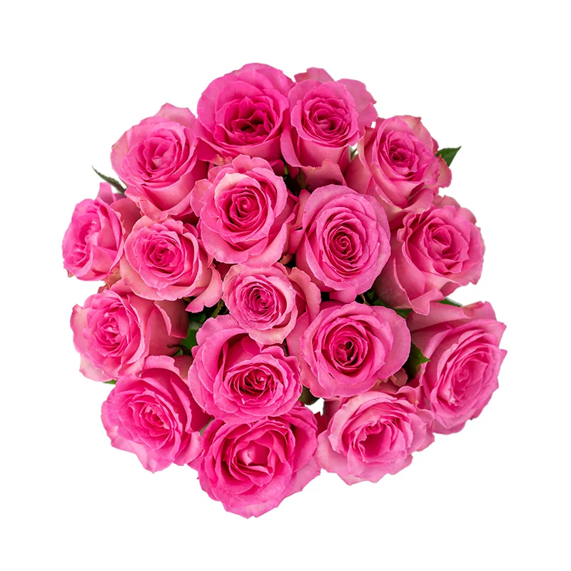 Букет из 17 розовых роз Свит Юнику (01161)