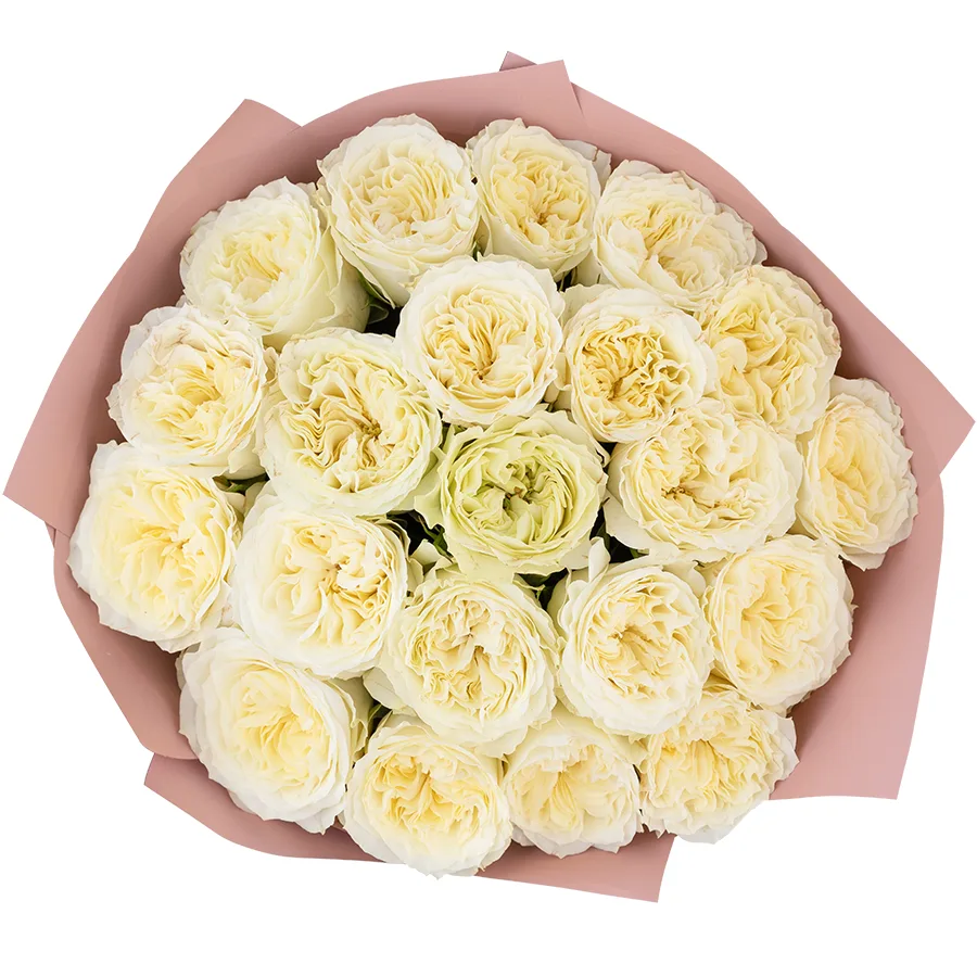 Букет из 21 белой пионовидной розы Майра Вайт (03024)