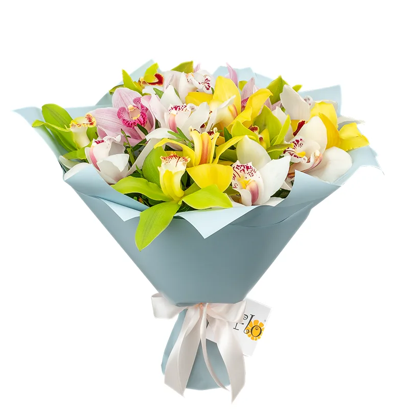 Букет из 17 разноцветных орхидей Цимбидиум (01202)