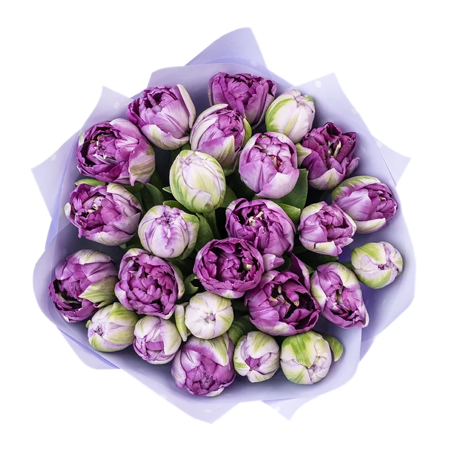 Букет из 25 фиолетовых махровых тюльпанов Сайгон (02390)