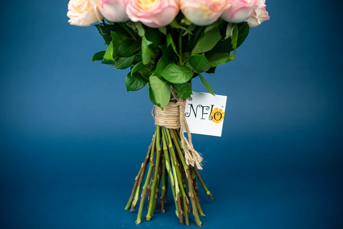 Букет из 25 кремово-розовых пионовидных роз Флешбек Саммерхаус (01417)