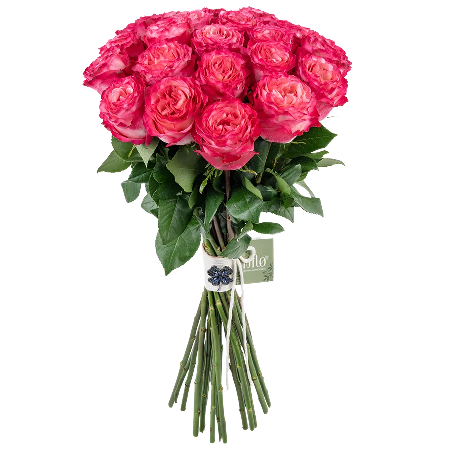 Букет из 21 ярко-малиновой розы Энчентмент (03857)