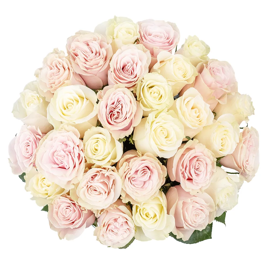 Букет из 29 белых и розовых роз Мондиаль и Пинк Мондиаль (02226)
