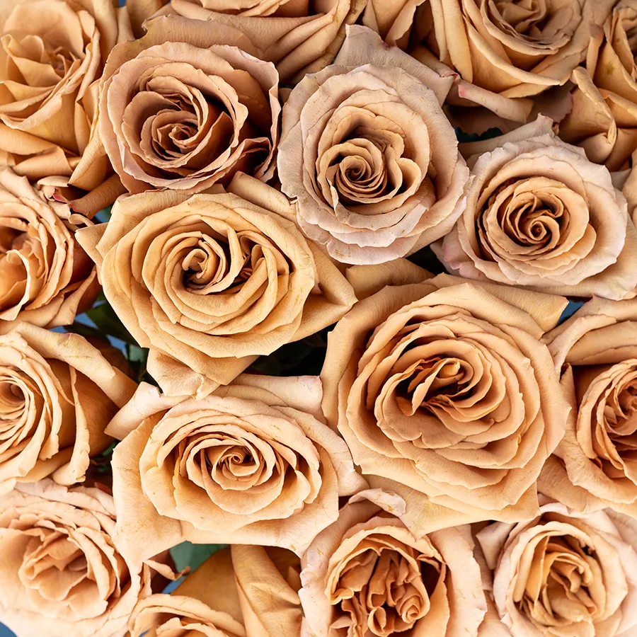 Букет из 19 кофейно-карамельных роз Тоффи (02947)