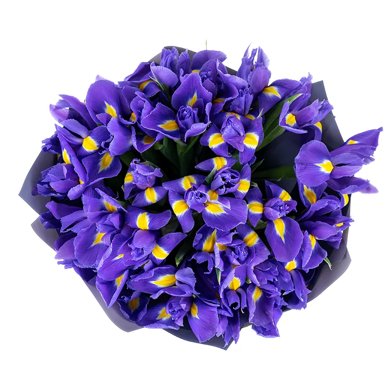 Букет из 29 фиолетово-синих ирисов Блю Мэйджик (01182)