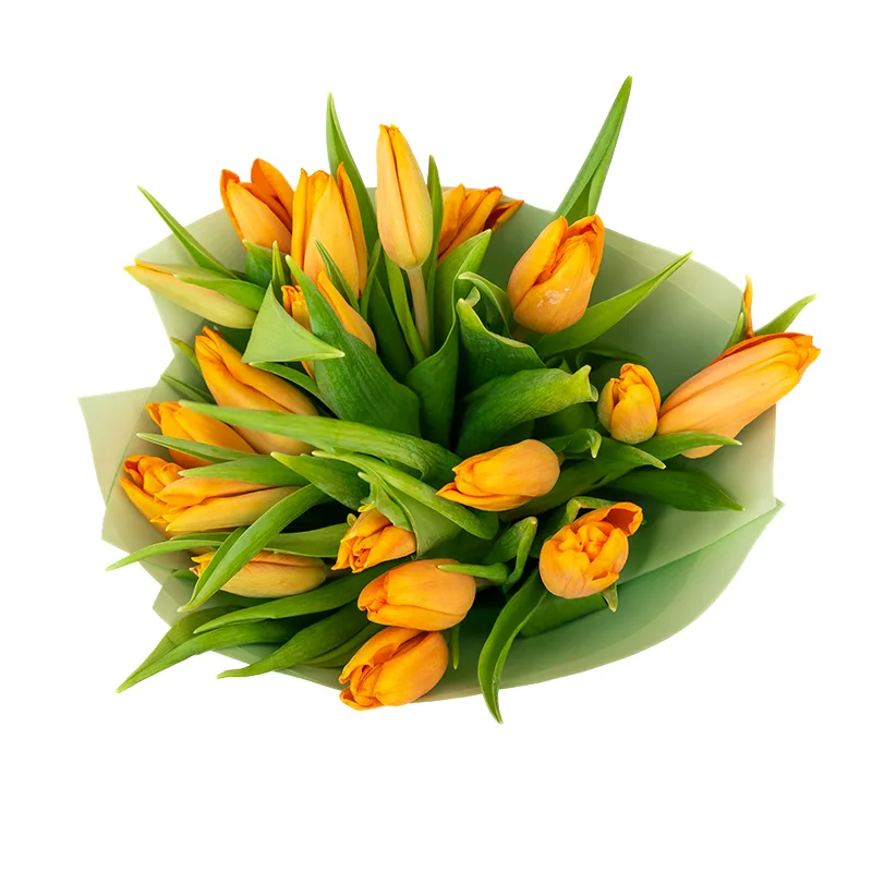 Букет из 19 оранжевых тюльпанов (01975)