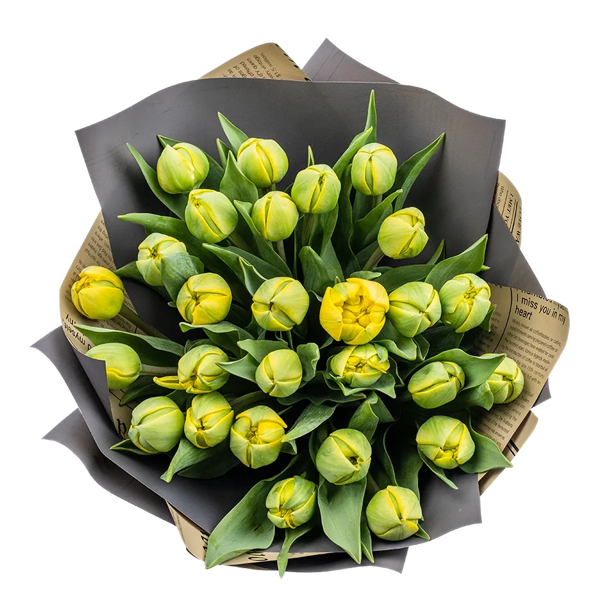 Букет из 27 желтых махровых тюльпанов Йелоу Помпонет (02443)