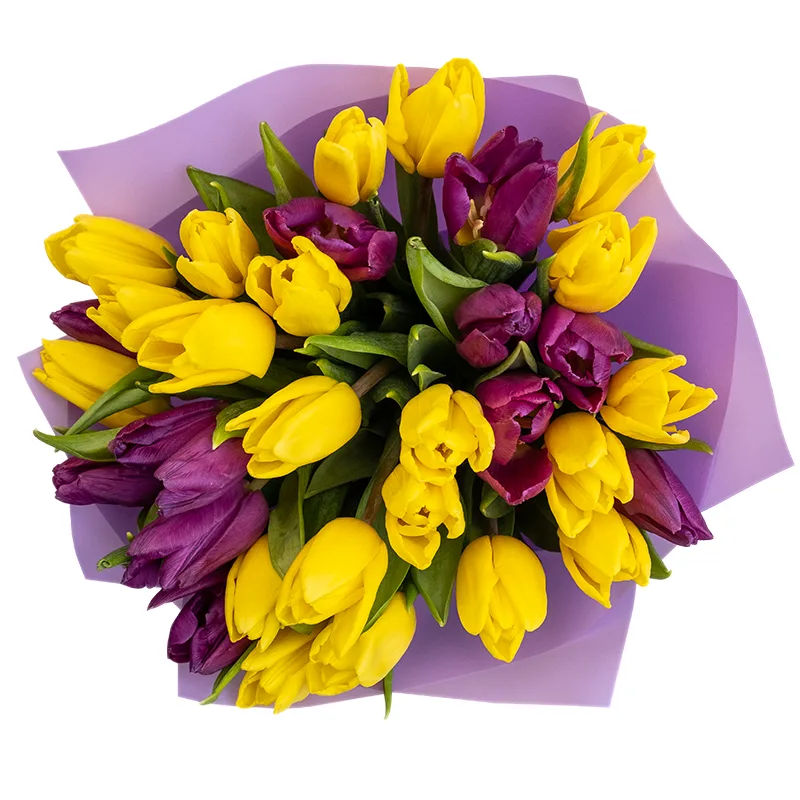 Букет из 31 желтого и фиолетового тюльпана (02048)