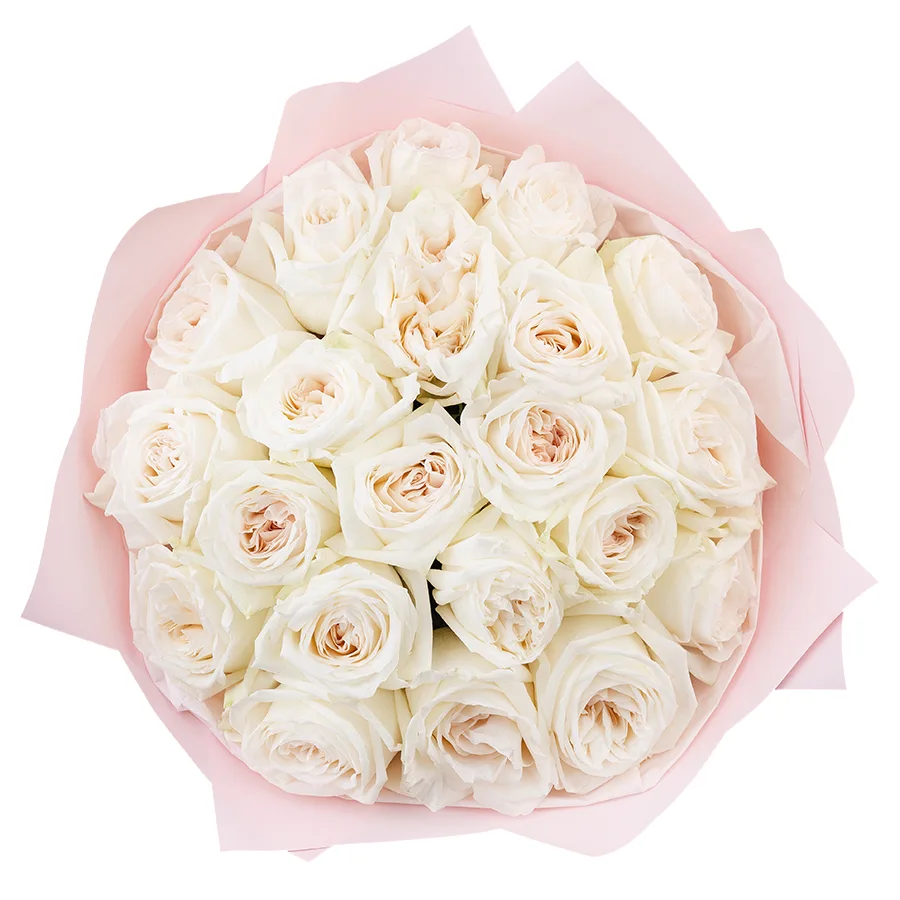 Букет из 21 ароматной белой садовой розы Вайт О’Хара в упаковке (02787)