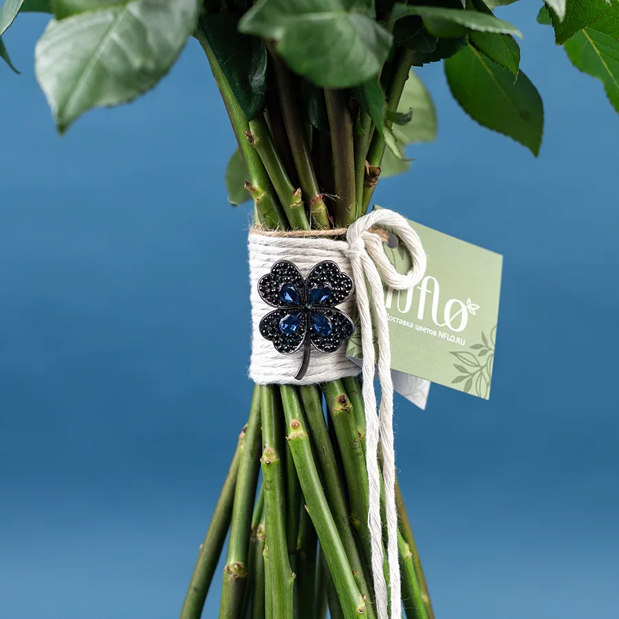 Брошь с камнями в форме клевера (00179)