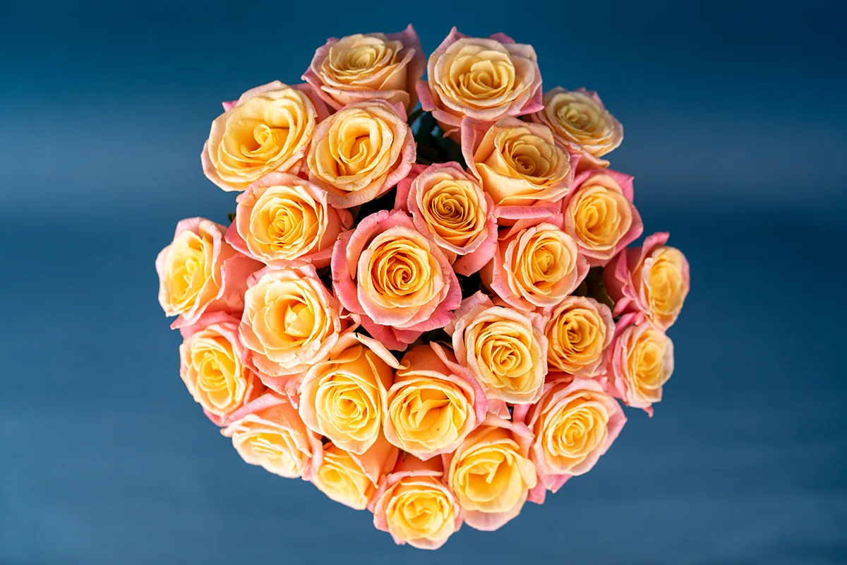 Букет из 25 нежных лососево-розовых роз Мисс Пигги (01131)