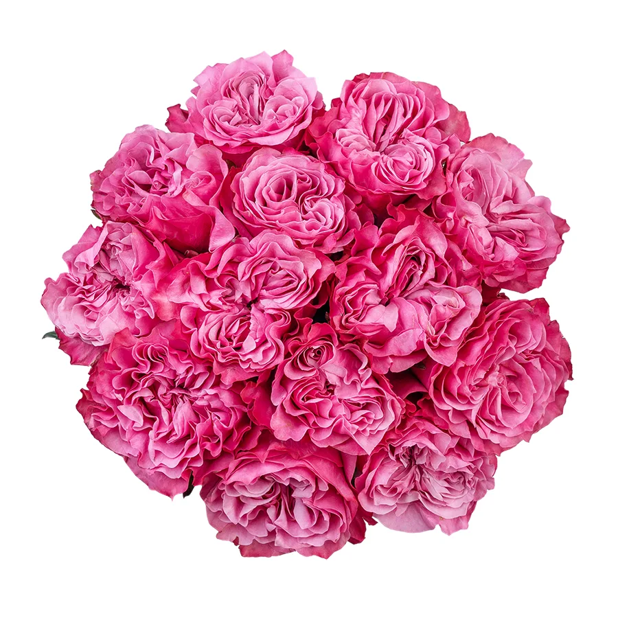 Букет из 13 сиренево-розовых пионовидных роз Кантри Блюз (02963)
