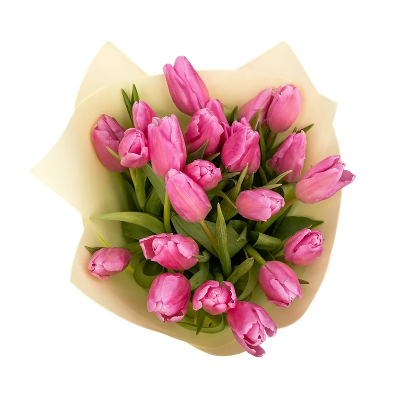 Букет из 23 розовых тюльпанов (01957)