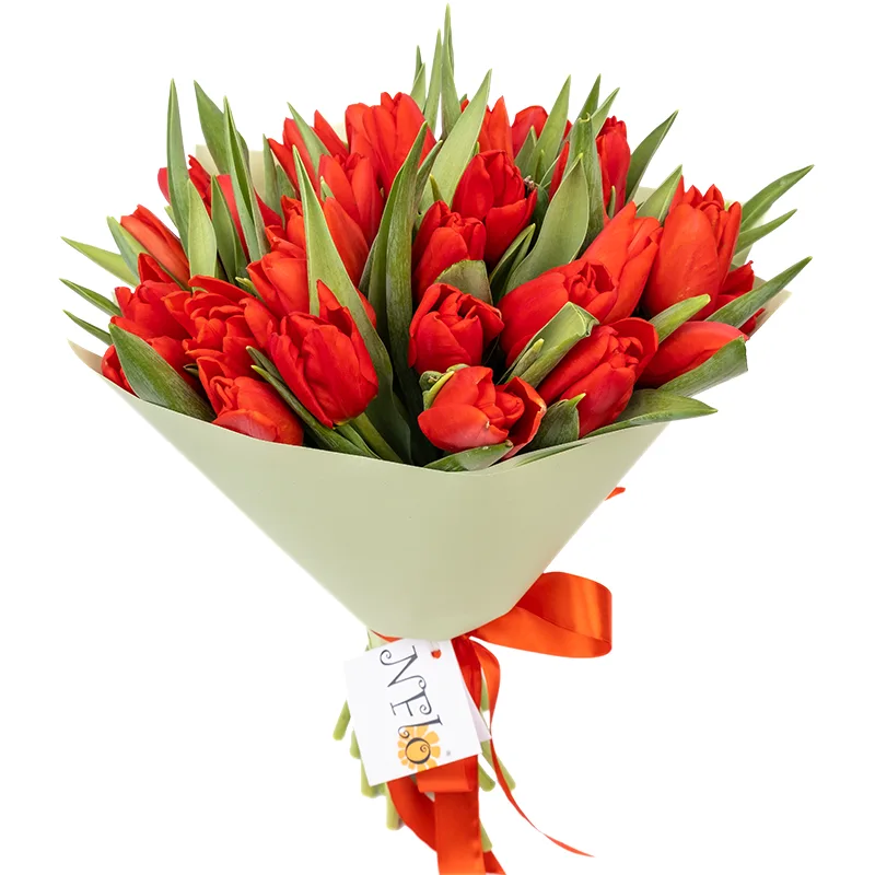 Букет из 33 красных тюльпанов (01888)