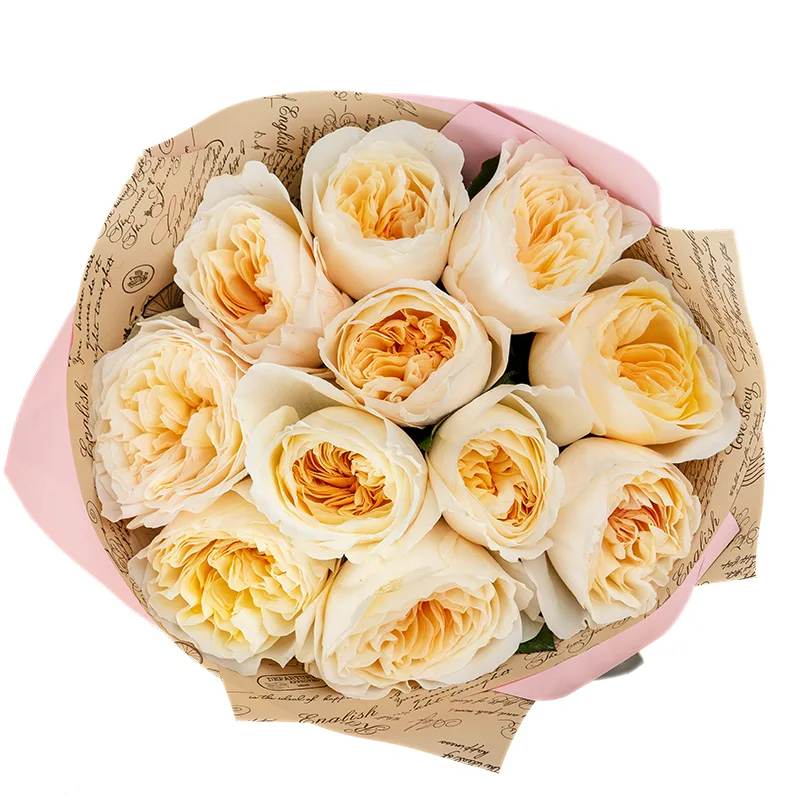 Букет из 11 бело-кремовых садовых роз Дэвида Остина Бесси (01379)