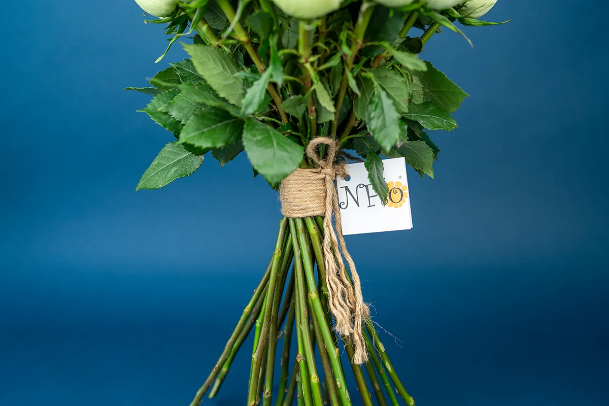 Букет из 25 нежно-салатовых роз Лимонад (01397)