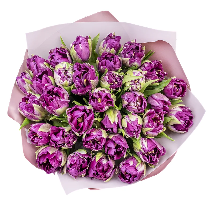 Букет из 33 фиолетовых пионовидных тюльпанов Пурпл Пеони (02318)