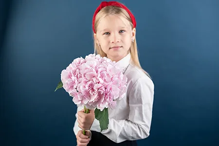 Сезон гортензий