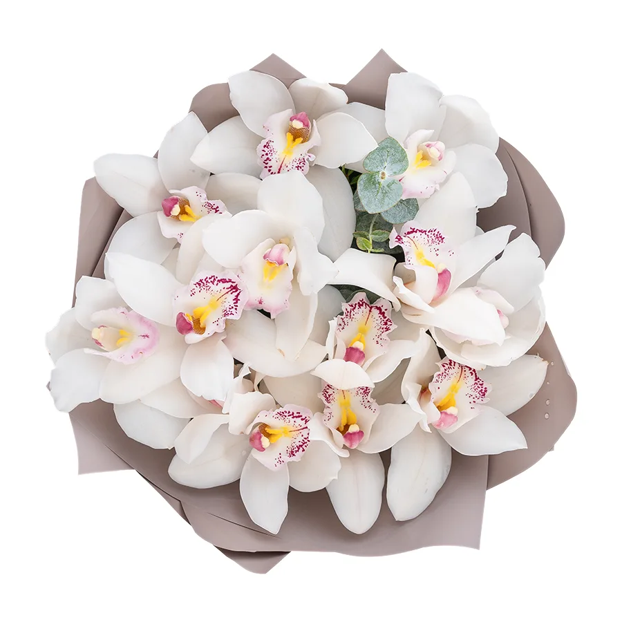 Букет из 13 белых орхидей Цимбидиум (03065)