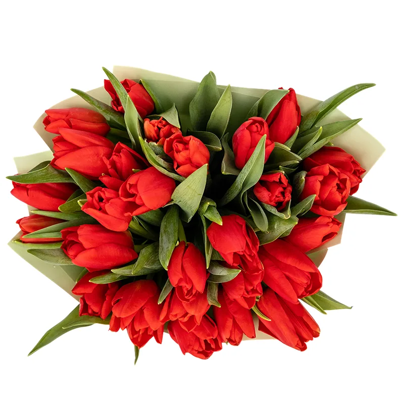 Букет из 27 красных тюльпанов (01891)
