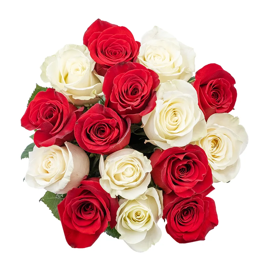Букет из 15 красных и белых роз Фридом и Мондиаль (02220)