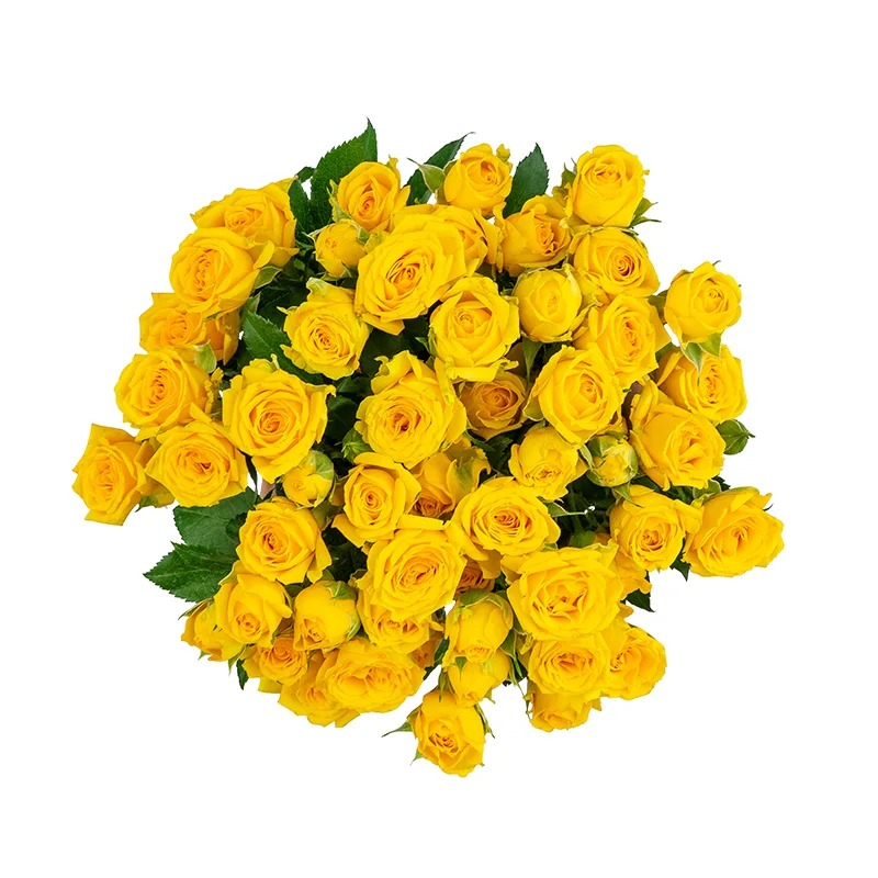 Букет из 11 жёлтых кустовых роз Йелоу Бейб (01501)