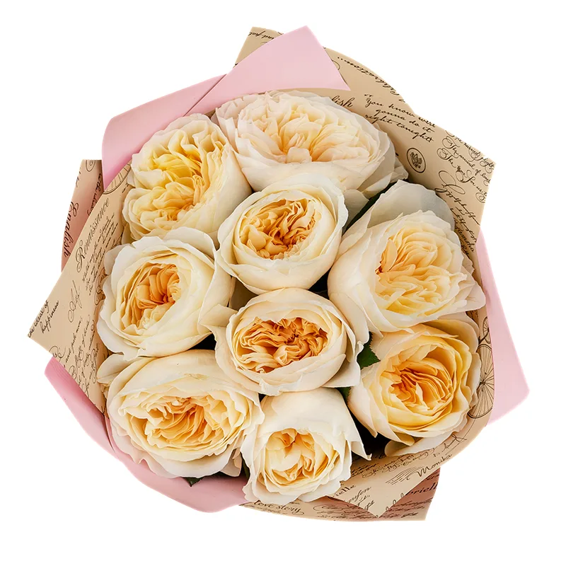 Букет из 9 бело-кремовых садовых роз Дэвида Остина Бесси (01380)