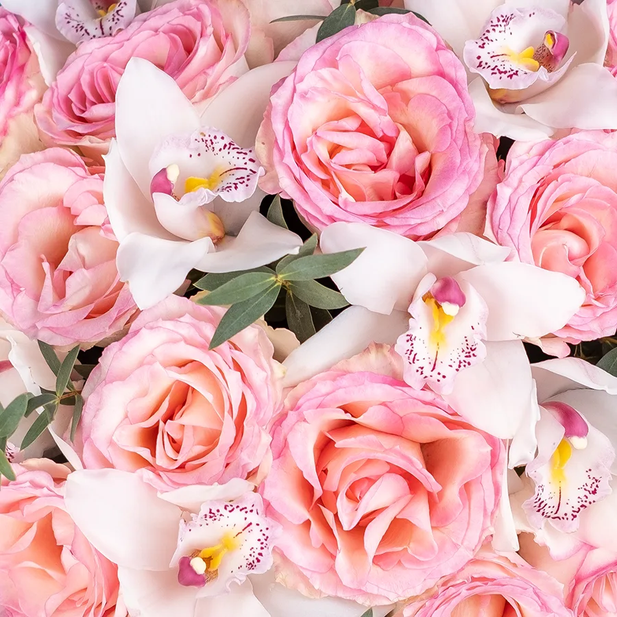 Букет из 23 цветов — розовых роз Эсперанс и белых орхидей Цимбидиум (02428)