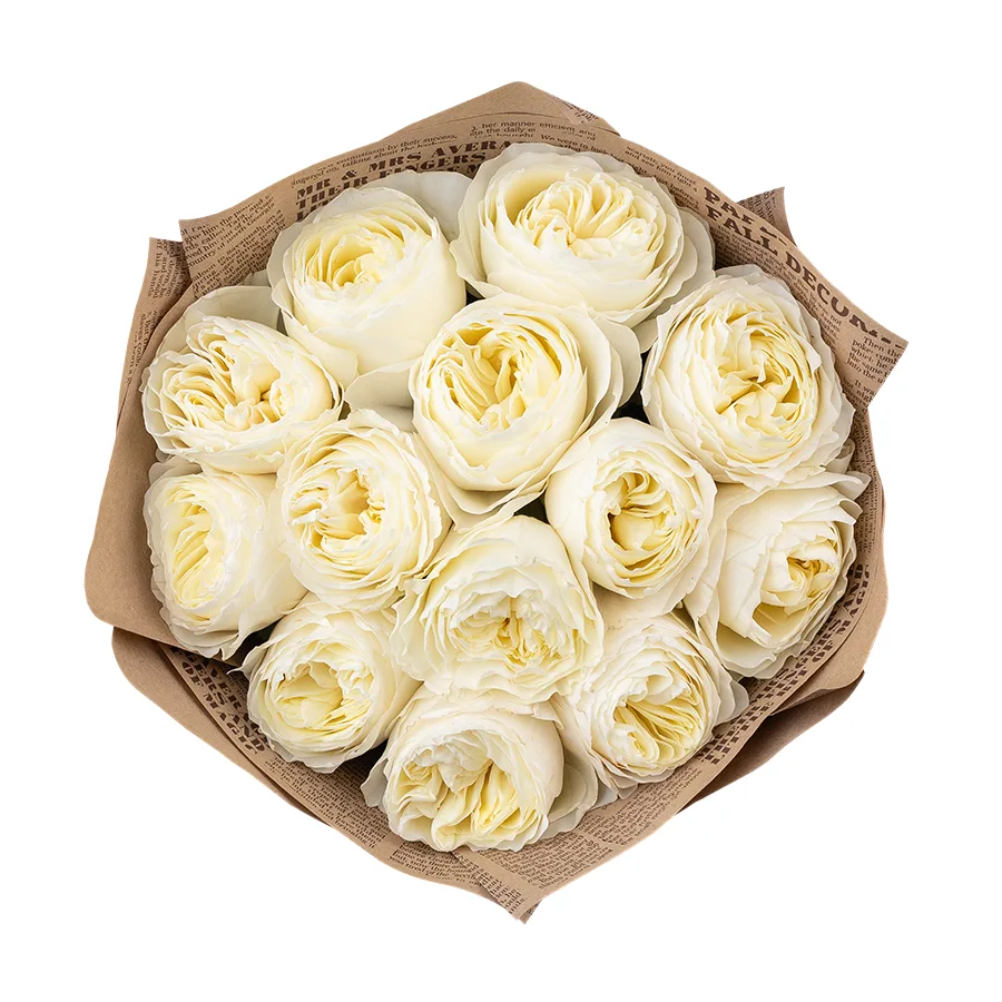 Букет из 13 бело-кремовых пионовидных роз Колдплей (02876)