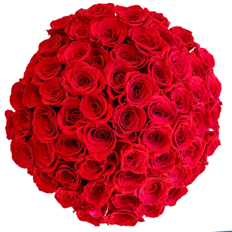 Букет из 61 красной розы Фридом (00608)