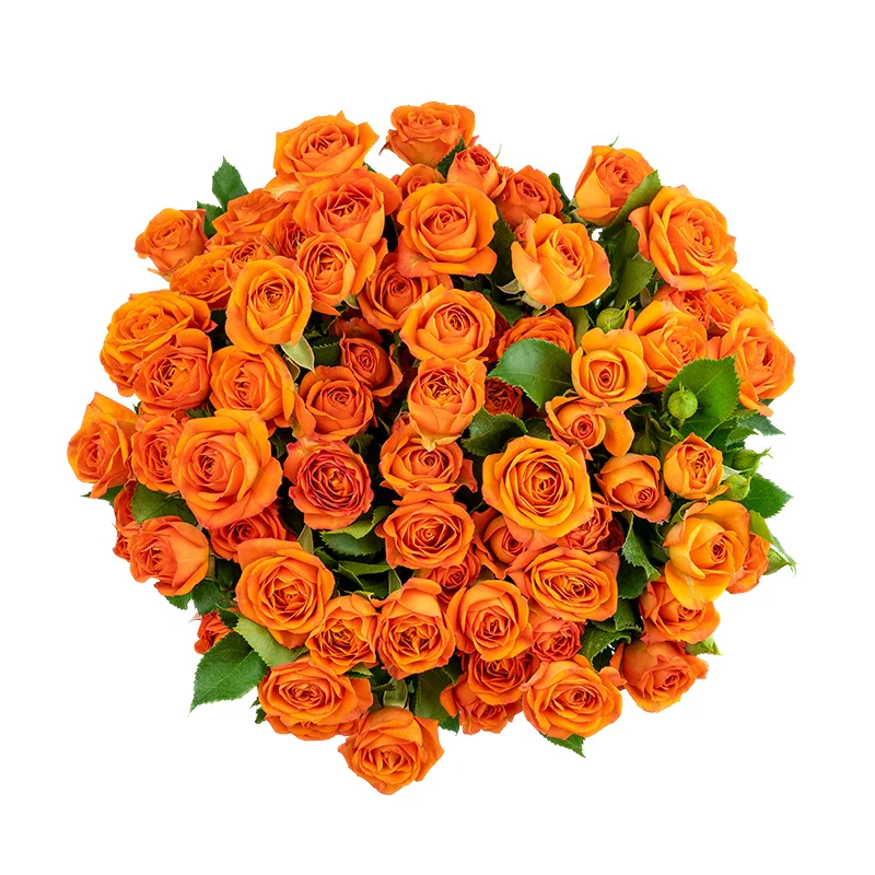 Букет из 11 оранжевых кустовых роз Бейб (01644)