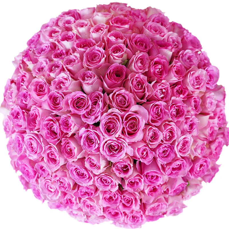 Букет из 123 розовых роз Свит Юнику (00784)