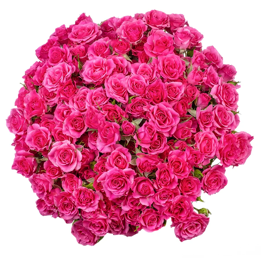Букет из 27 малиновых кустовых роз Лиана (02330)